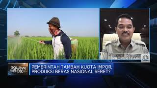 Genjot Produksi Beras Nasional, Kementan Andalkan 12 Provinsi Ini
