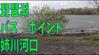 琵琶湖　バスポイント　姉川河口