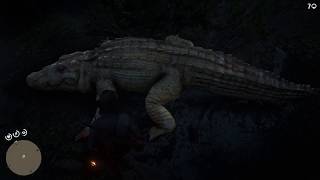 RDR 2 что делать если не появляется легендарный аллигатор