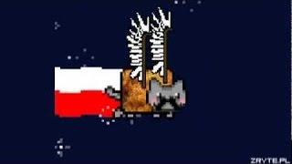 TOP 50 NYAN CAT