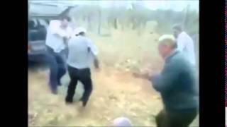 crazy dance, arapakia to filane