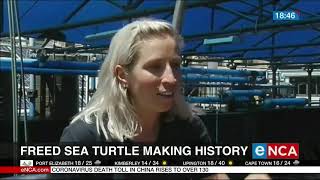 Longest tracked migration of any marine creature