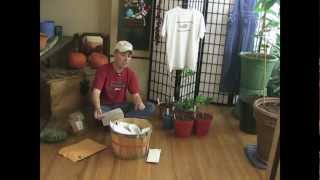 Tropical additions to Indoor grow room AND Contest Winner!!!