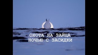 Охота на зайца ночью с засидки. Немного практики с добычей.