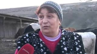Femeie fermier
