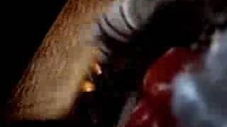 Girl gets owned by horse fart!