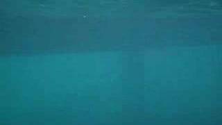 Underwater Orgasm