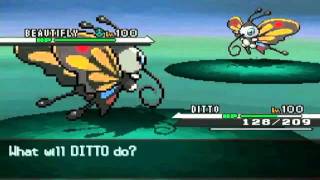 Pokemon black and white sprite test: Wurmple + Silcoon + Beautifly + Cascoon + Dustox