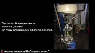 Экспресс замена масла ГАЗель Next Cummins 2.8