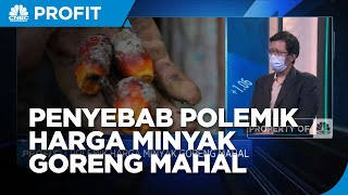 Penyebab Polemik Harga Minyak Goreng Mahal