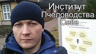 Институт пчеловодства Целле / Пчеловодство Германии / В гостях у IMKER DE