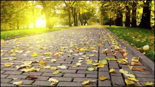 BZY - Perfect Morning