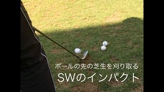 【SW】インパクトの前後30センチのクラブの軌道