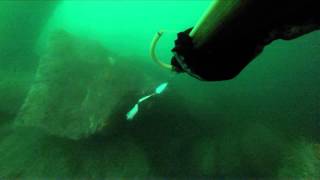 Testing lures as fish flashers attached to speargun.