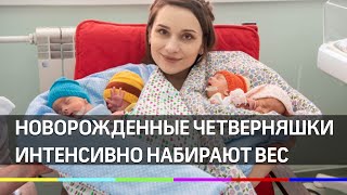 В МОПЦ впервые в истории появились четверняшки