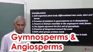 28.Botany | Kingdom Plantae | Gymnosperms and angiosperms