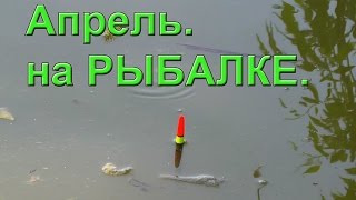 Апрель. на Рыбалке. поплавок. Поплавочная удочка, Fishing, ikan, câu cá, memancing