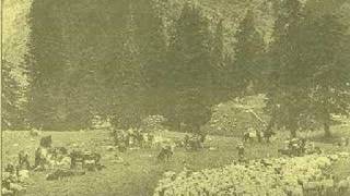 Ήρθε η ώρα για άρμεγμα ( Ασημούλα )
