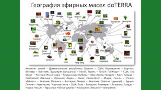 География эфирных масел  ДоТерра