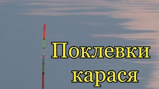 Рыбалка. Ловля карася на поплавок. My fishing