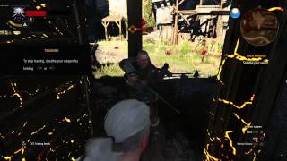 Playing The Witcher 3: Wild Hunt Then This Crazy Glitch Happened lol wtf