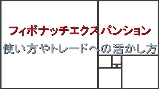 FXでのフィボナッチエクスパンションの使い方やトレードへ活かす方法とは？ポイントをわかりやすく解説