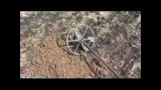 Трехчасовой коп с Minelab SAFARI 18 04 2015г