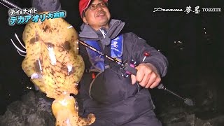 和歌山南紀deデイとナイトでデカアオリエギング実釣-ドリームス夢墨トルザイトを投入