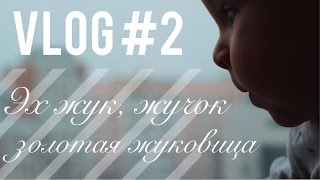 Vlog #2 Золотая жуковица, репетиция и в рот мне ноги.