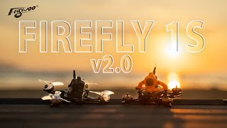 Крошечные дроны для больших дядь [Flywoo Firefly v2.0]