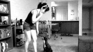 Dog jumps for hyper crush!