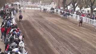 CORRALERO. Vista Alegre 04/08/13