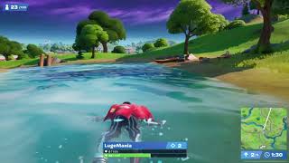 How Did I Get This Victory ROYALE!??
