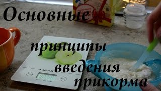 Введение первого прикорма. Основные принципы и порядок.  Мой опыт!/ BY Maria