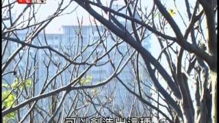 2014民視豪宅旗艦王 新春初四特別節目 海灣區天藝 PART1