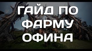 Гайд по охоте на Офина разрушителя в Black Desert Online