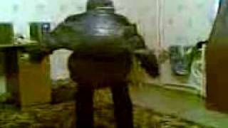 Танцующий карлик (Little Dancer)