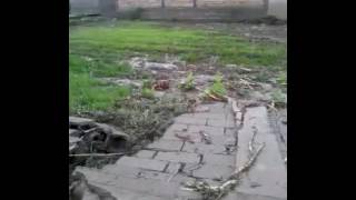 01,04,2017 сели зараррасон дар Шахри Хисор дехаи Гулрез 3