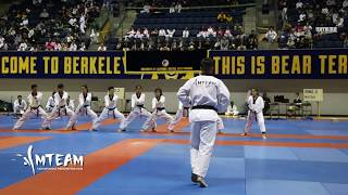 Team-M Taekwondo Demonstration, USA
