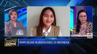 Mimpi Hilirisasi RI Terhalang Kondisi Cadangan Nikel, Ada Apa?