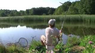 Карась на матч. Matchfishing for Carassio.