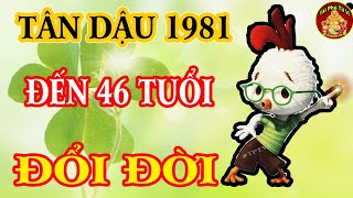 Tiết Lộ Chấn Động Tử Vi Tuổi Tân Dậu 1981 Gặp Thời Trúng Số Tiền Tiêu 3 Đời Không Hết