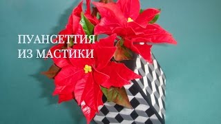 Пуансеттия из мастики. Сахарные цветы. Poinsettia. Gumpaste flowers.