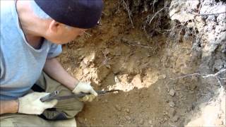 Аметисты Карабаша осенью 2 серия 09 2014\AMETHISTS from Karabash-2