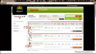 Урок 6. Провайдеры ZuluTrade.