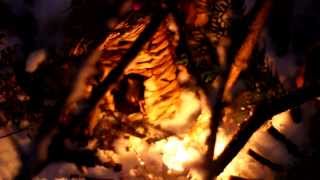 Фонарики в детском саду 20131129