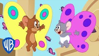 Tom & Jerry in italiano | Se i topolini volassero 