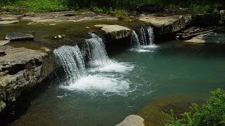 100% RELAX EN FORÊT ? Cascade Rivière Oiseaux – Anti-Dépression Stress Anxiété – Sommeil Réparateur