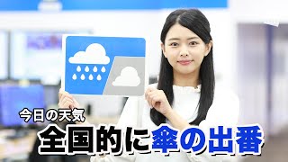 6月25日(木)朝のウェザーニュース・お天気キャスター解説