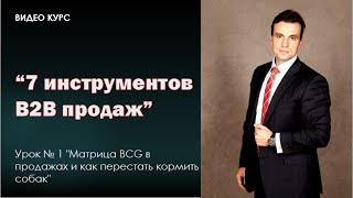 Урок № 1 "Матрица BCG в продажах и как перестать кормить собак"